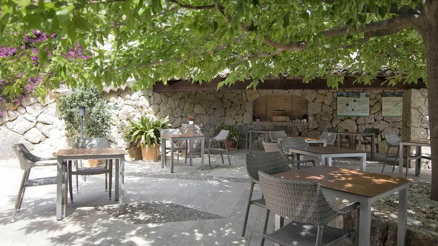Finca Binibona Parc Natural in der Tramuntana - Bild# 3