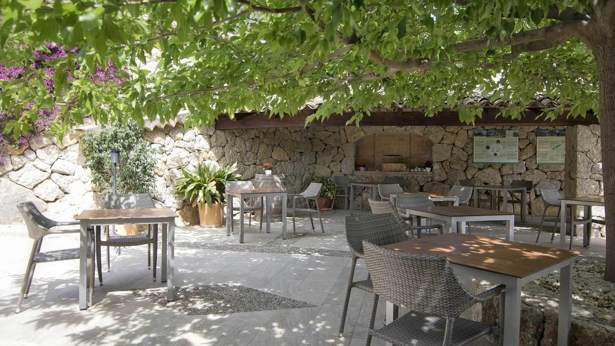 Finca Binibona Parc Natural in der Tramuntana - Bild# 3