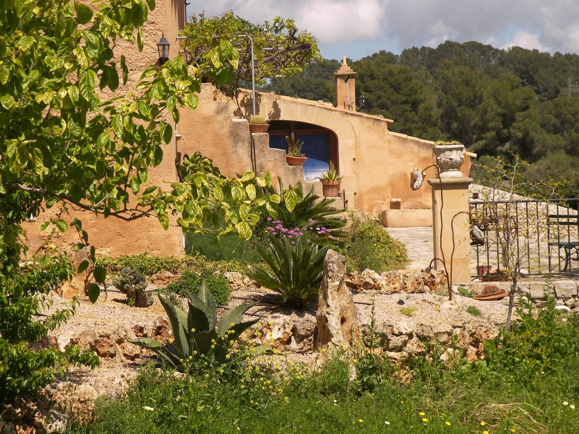 Agroturisme Es Picot - Südseite des Hauses mit mediterranem Garten