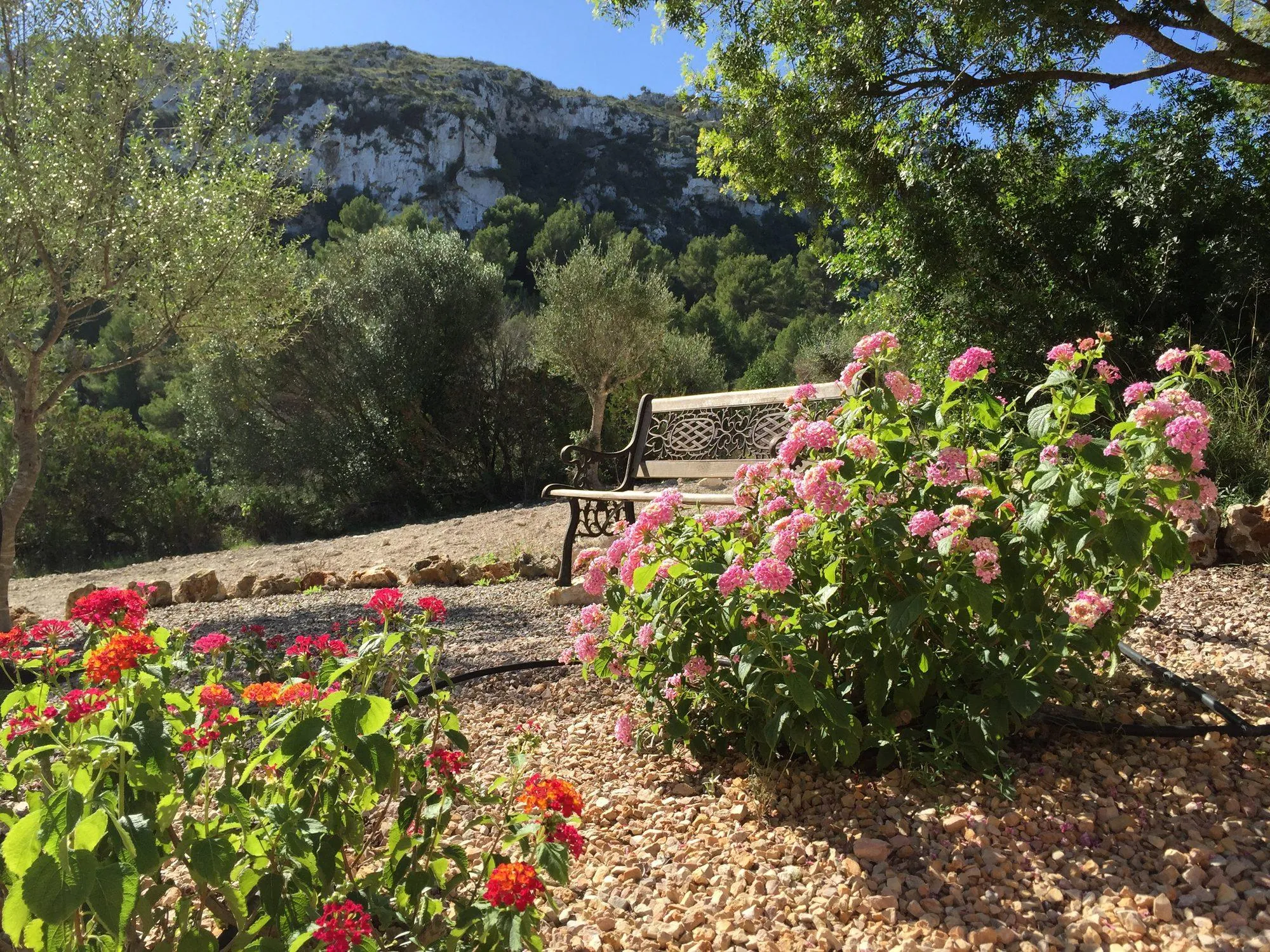 Agroturisme Es Picot - Blühender Garten mit Blick auf die Berge