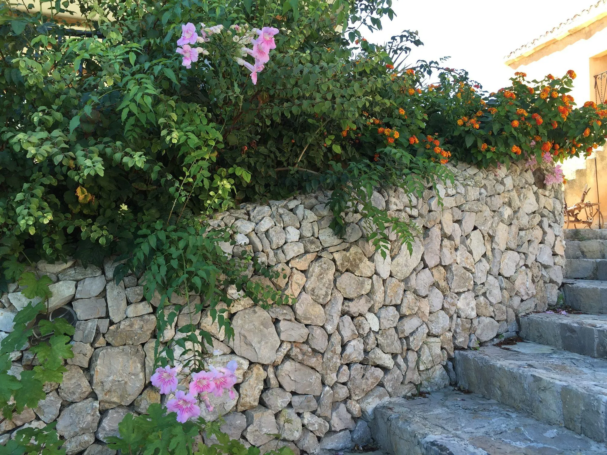 Agroturisme Es Picot - Treppe entlang einer Trockenmauer mit Blüten