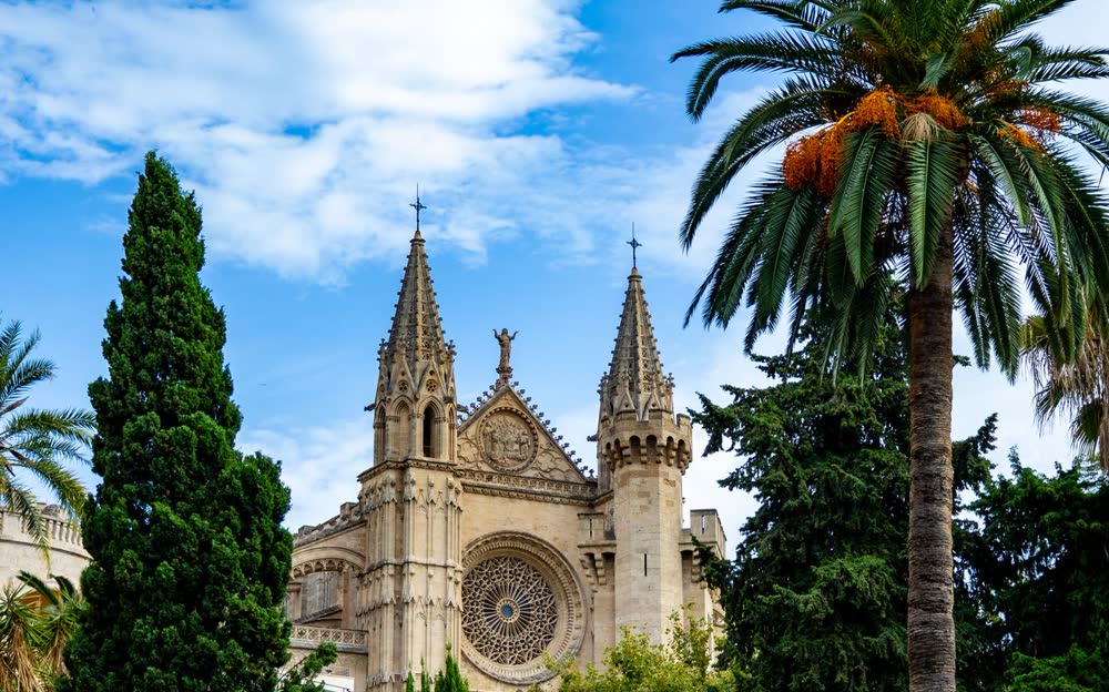 Kathedrale von Palma mit Palmen